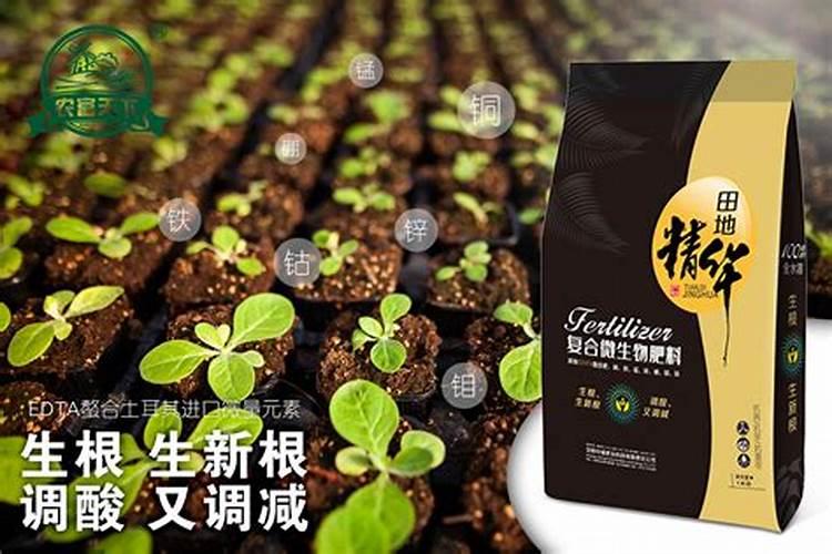 复合微生物肥料的缺点和不足