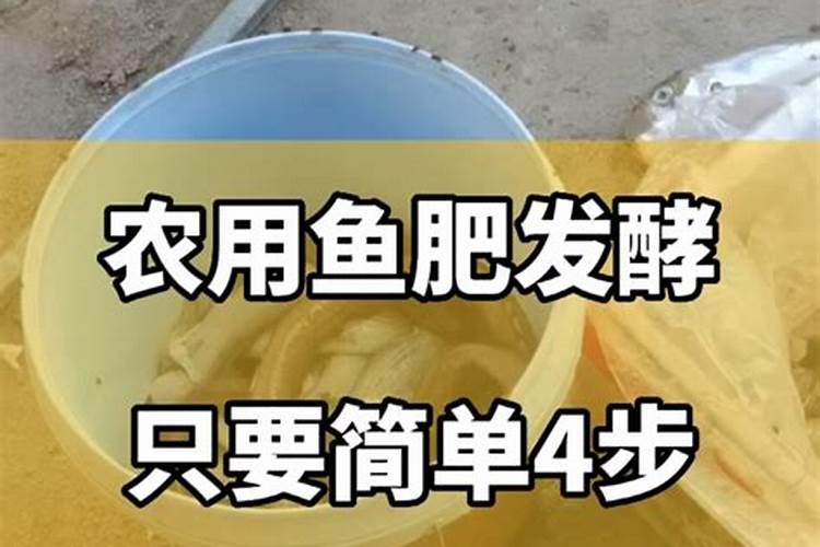 2025鱼蛋白肥料辟谣