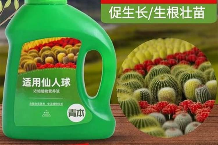 临沧2025原装进口鱼蛋白肥料仙人球