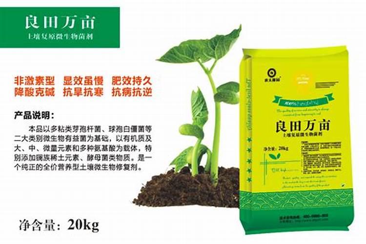 五指山生物菌肥效果好吗？