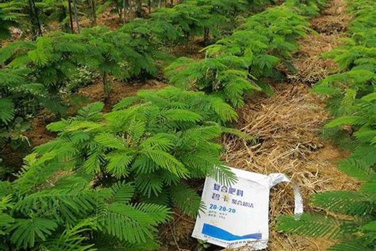 大量元素水溶肥料怎么使用效果好？