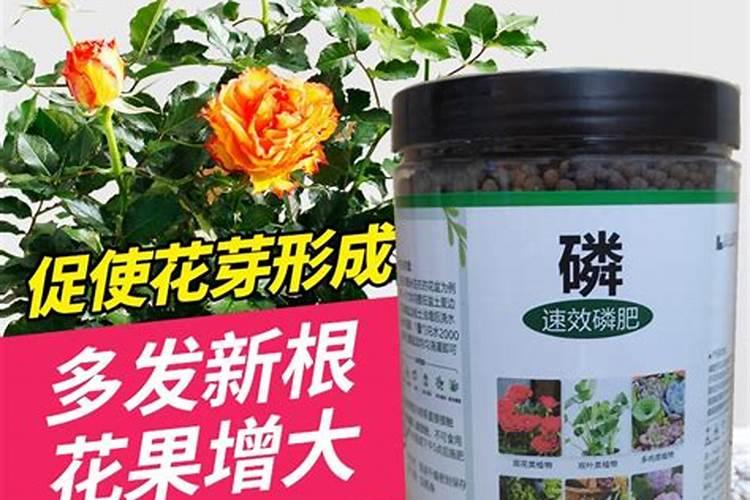 氮磷肥养花的使用方法和用量？