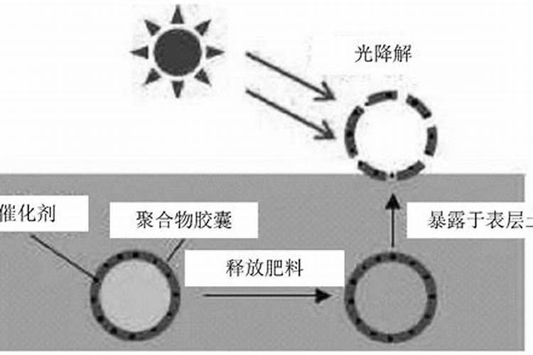 水田控释肥最简单三个步骤