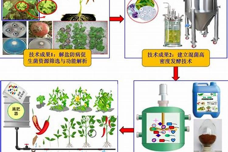 微生物菌剂的作用和使用方法