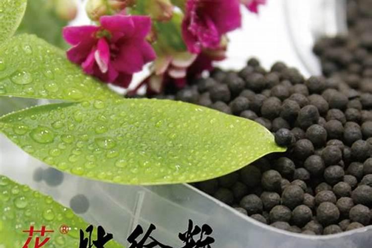 有机化肥种菜好不好？