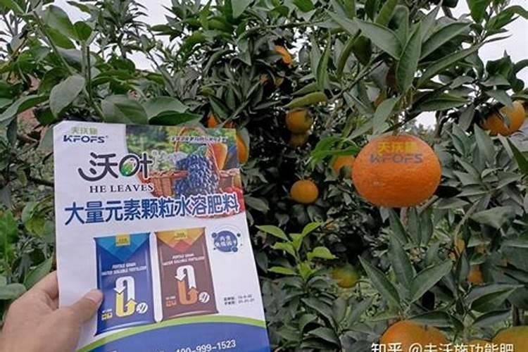 水溶肥可以撒施吗