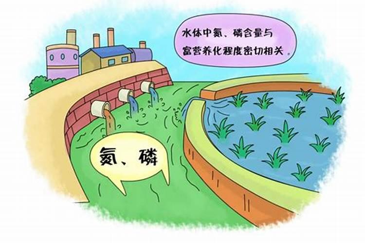 标题+为什么说农田氮磷流失对地下水、湖泊、河流等水质变坏负重要责任。