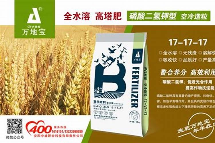 2025益母草三元复合肥不容易化