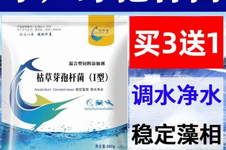 水产养殖用芽孢杆菌在水温不到10度时使用有效果吗？