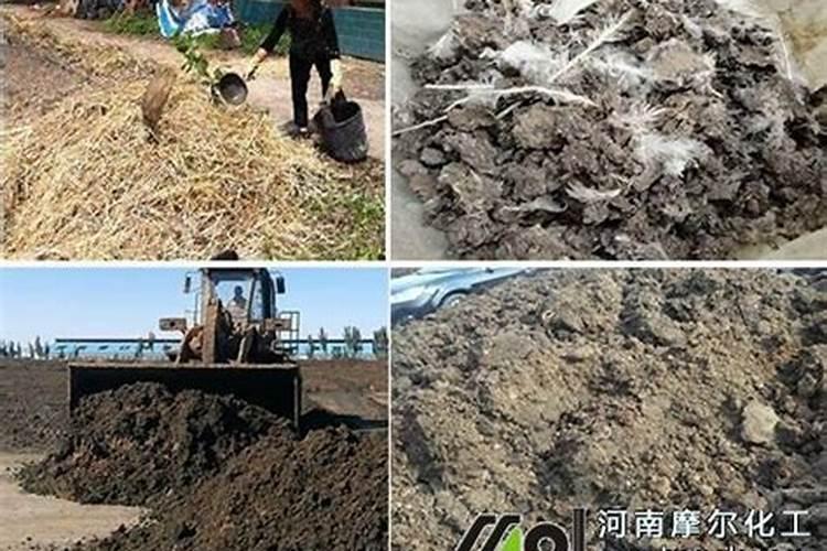 乐昌水溶肥是有机肥吗还是无机肥料？