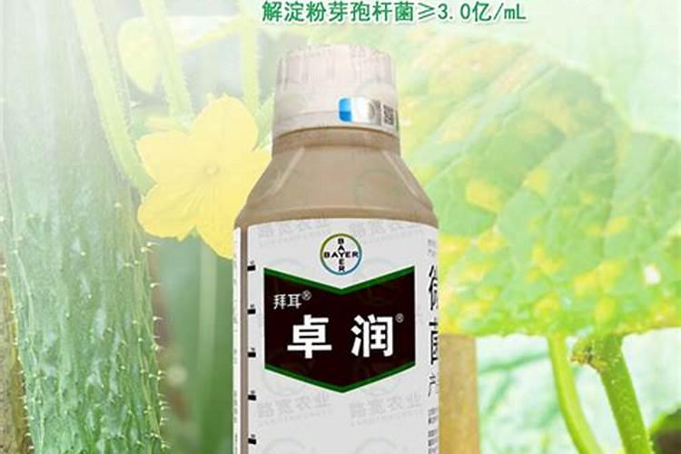 拜耳卓润1升兑多少水
