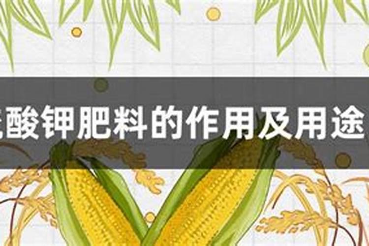 硫酸钾复合肥的作用及用途及用量
