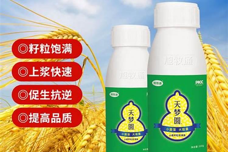 含氨基酸水溶肥批发价格蘑菇