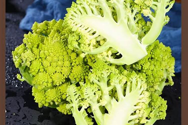 花椰菜全国化肥厂家500强排名最新