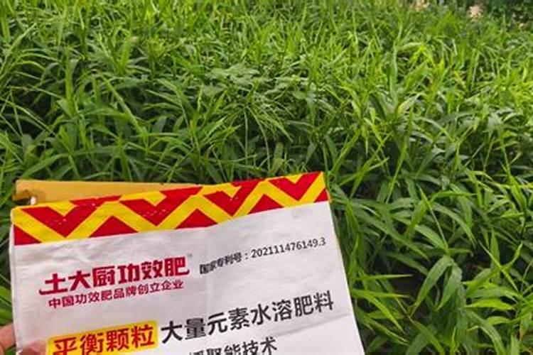 颗粒水溶肥怎么使用白山？