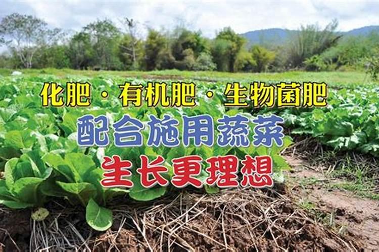 有机生物肥料怎么使用？