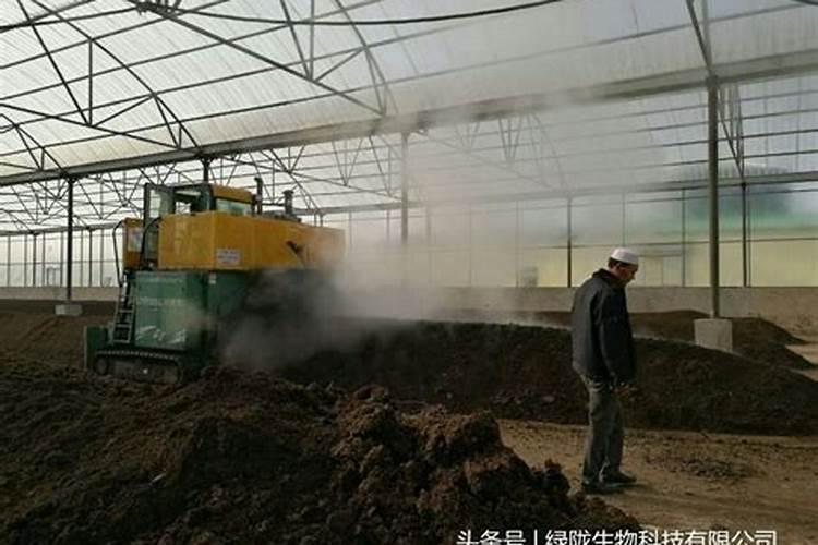 有机肥发酵剂是什么