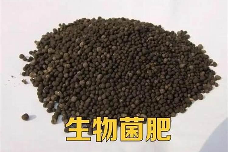 微生物菌肥是什么成分组成的大理？