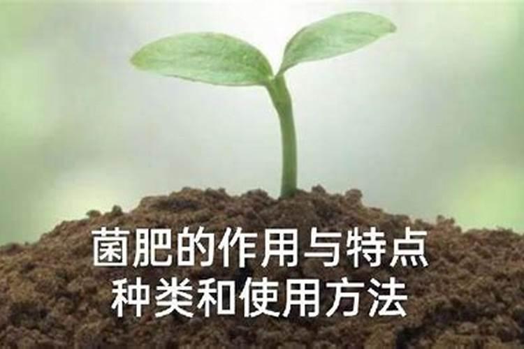 微生物菌肥的作用与使用方法