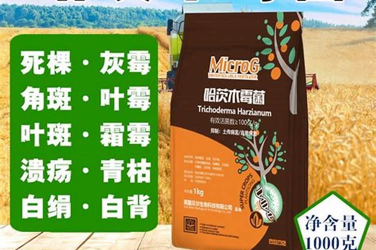 枯草芽孢杆菌生物菌肥的作用