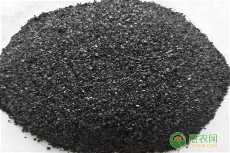 金针菇常用生物肥料有哪几种种类？