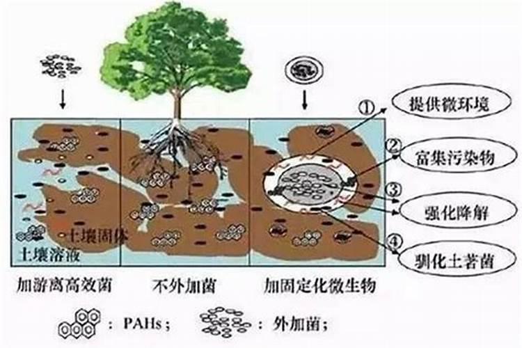 微生物肥料原理及应用义马