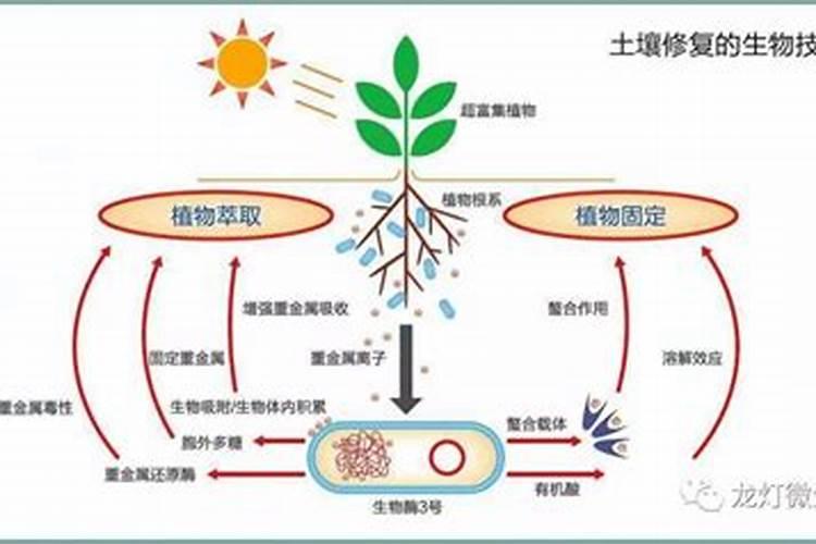 微生物菌剂的效果与功能,微生物菌剂如何使用