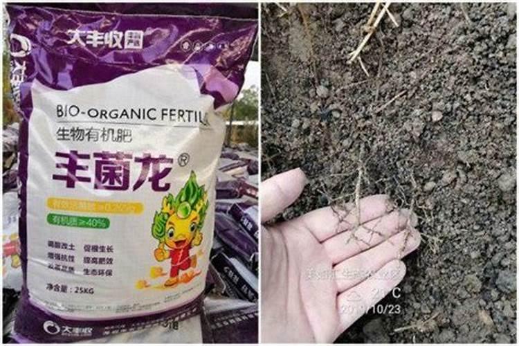 国内微生物菌肥10大品牌有哪些？