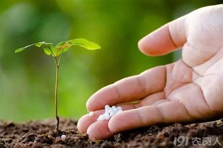 黑河控释肥适合什么植物种植好养？