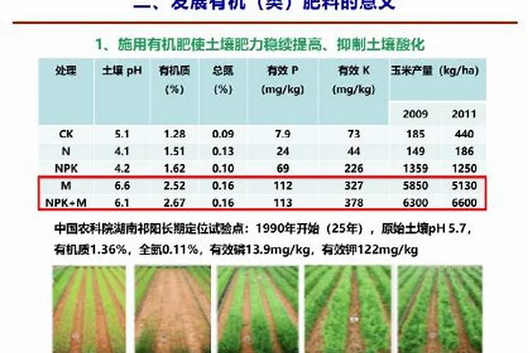 烟台2025微生物肥料有哪些类型？