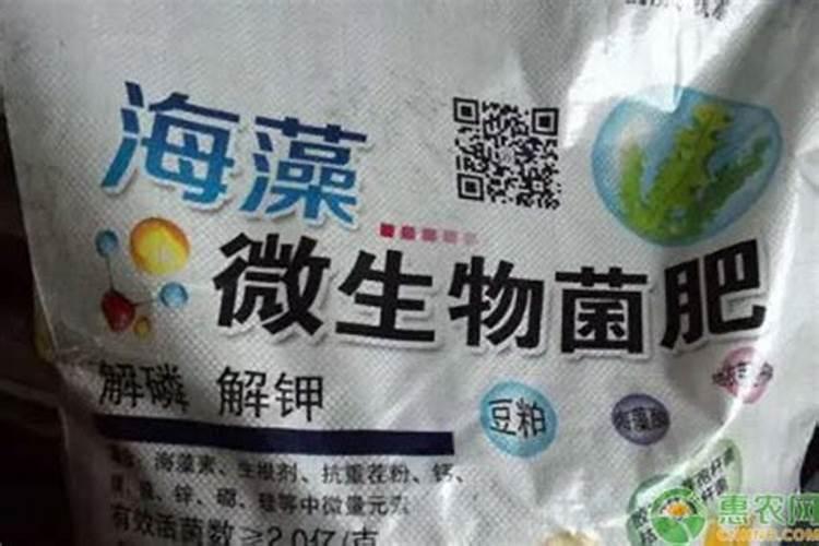 2025生物有机肥与有机肥的区别栀子？