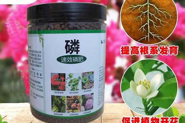 氮磷钾肥料有哪些品种？