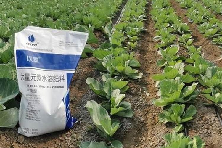 水溶肥效果好还是颗粒肥料好？