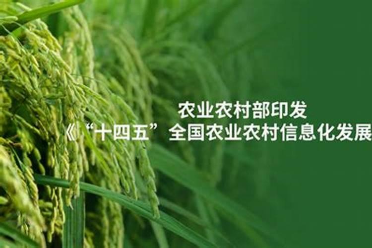 2025平原化肥厂联系方式？