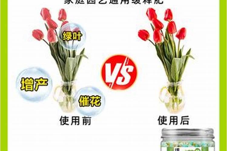 鸡西通用控释肥适合什么植物？