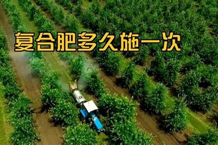 巴彦淖尔三元复合肥几天施一次？