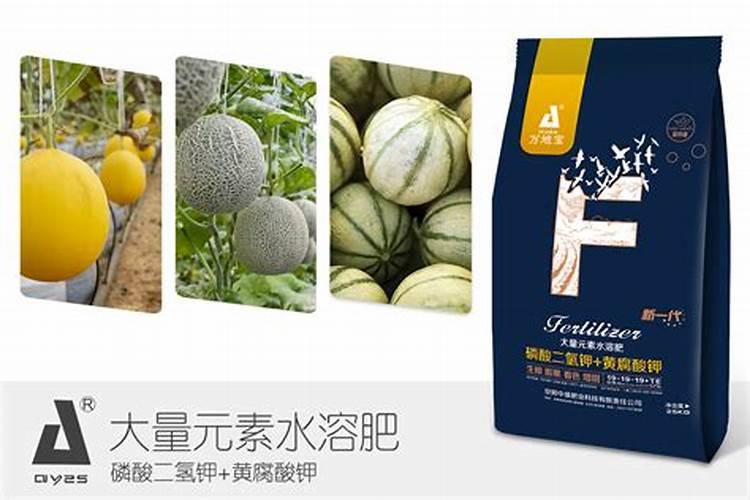 水溶肥料厂家排名榜前十名