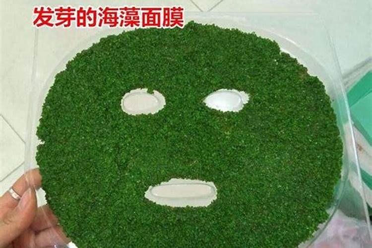 海藻颗粒面膜怎么调