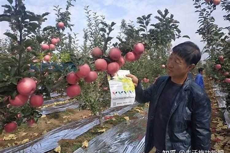 大量有机水溶肥的作用与功效