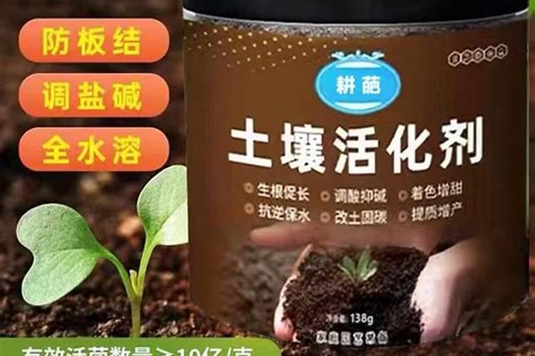 植物扦插时能否把土壤活化矿源黄腐酸钾菌肥拌沙土做扦插土质用？