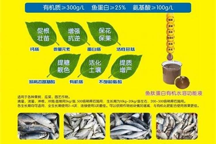 鱼蛋白肥料的缺点