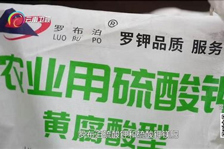 罗布泊化肥生产基地在哪里呀？