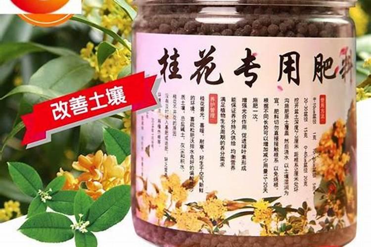 2025四季桂复合肥料怎么使用效果最好？