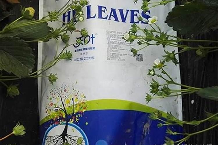 有机化肥与无机化肥的区别长沙？