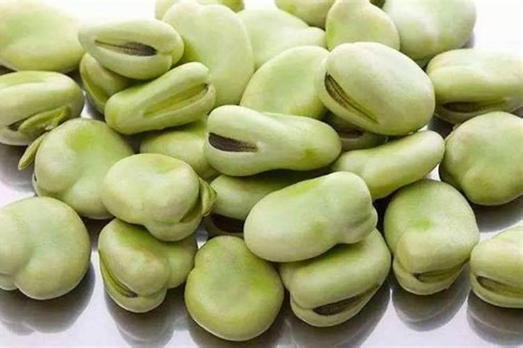 丽水生物肥料小型加工厂怎么办理蚕豆？