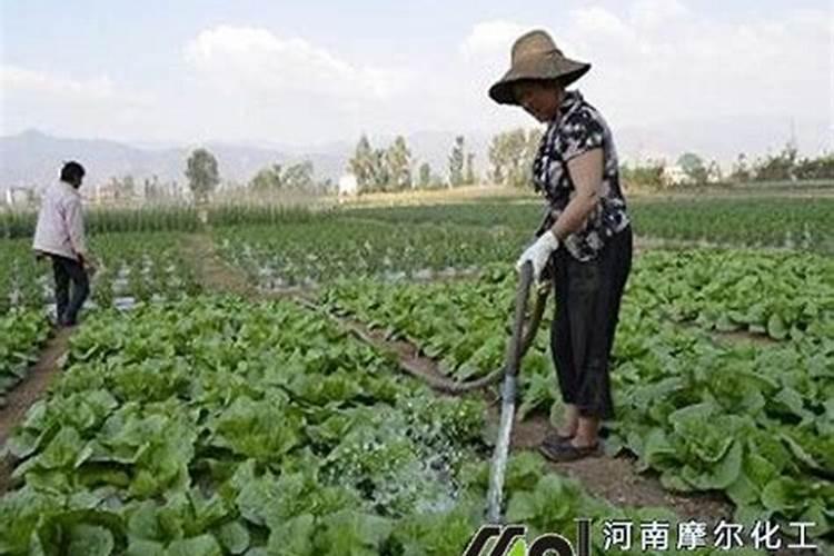 水溶肥一般稀释多少倍六安2025？