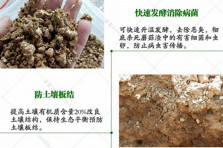 2025蘑菇生物有机肥的优点有哪些方面？