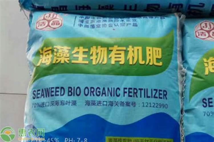 2025海藻肥的使用方法有哪些？