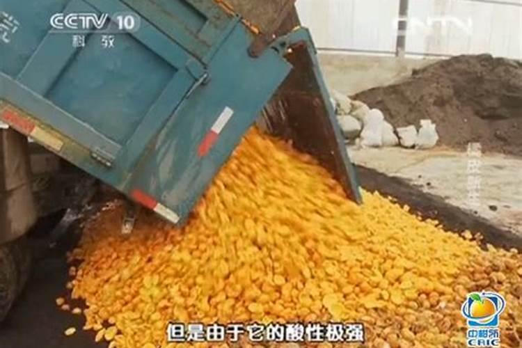自贡柑桔有机化肥是什么组成的？