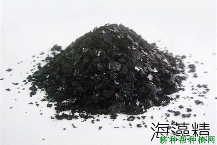海藻肥的功效与作用与主治与用量遵义2025